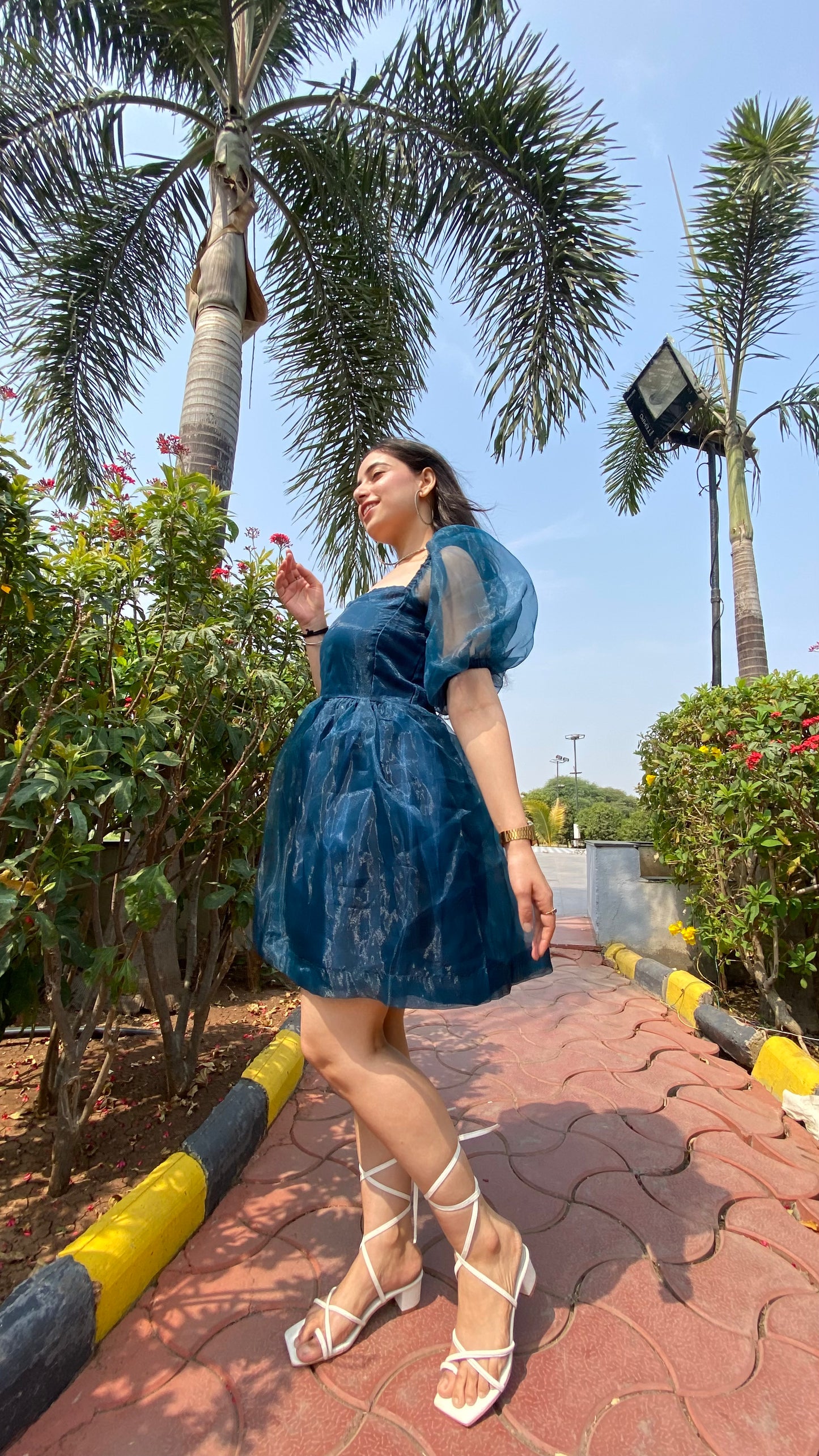 Blue Dreamgirl Organza Dress