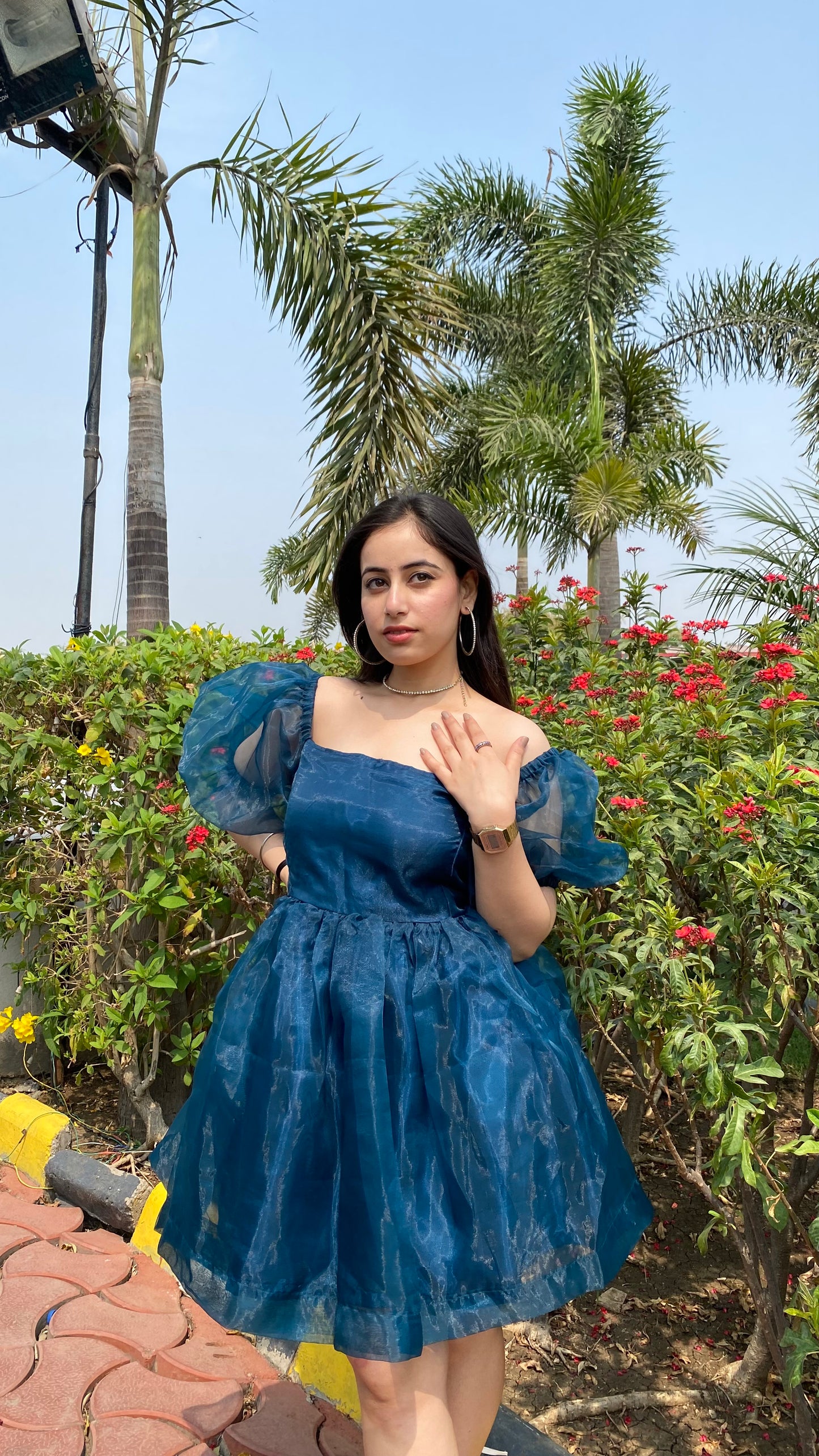 Blue Dreamgirl Organza Dress