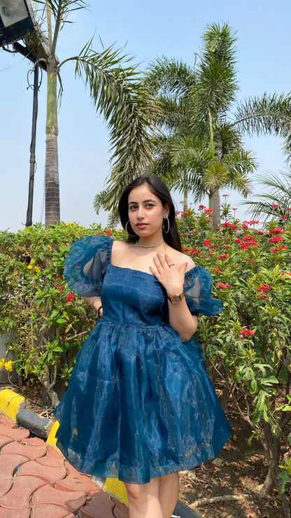 Blue Dreamgirl Organza Dress