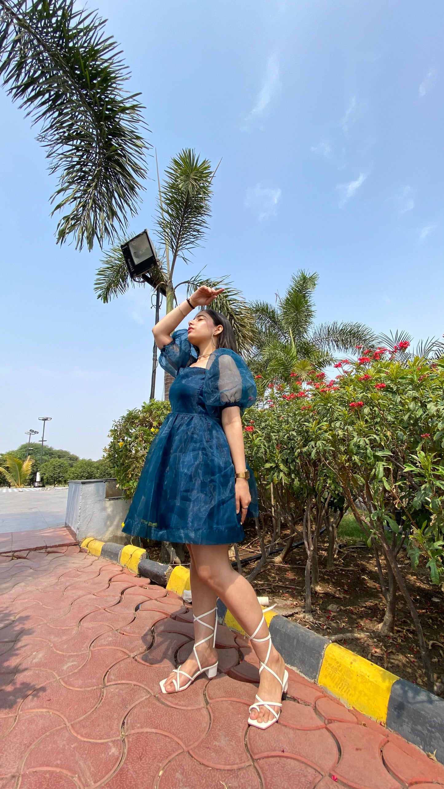 Blue Dreamgirl Organza Dress