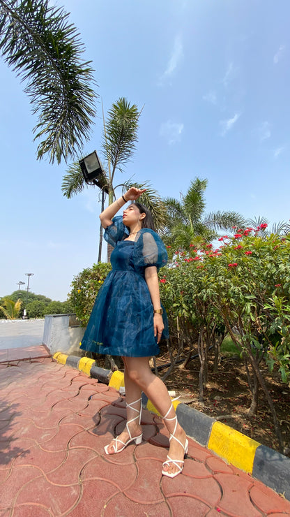 Blue Dreamgirl Organza Dress