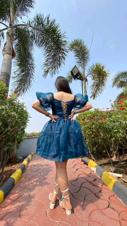 Blue Dreamgirl Organza Dress